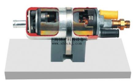 电控燃油泵解剖模型